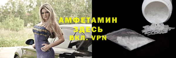 гидра Абаза