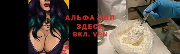 гидра Абаза