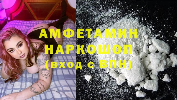 гидра Абаза