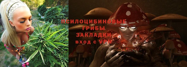 бошки Абинск