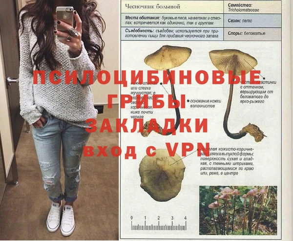 гидра Абаза