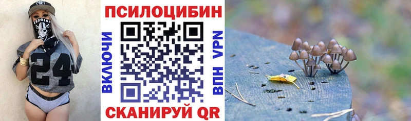 где продают наркотики  мориарти Telegram  Псилоцибиновые грибы Psilocybe  Судогда 